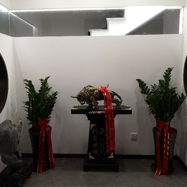 企业环境