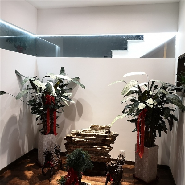 企业环境