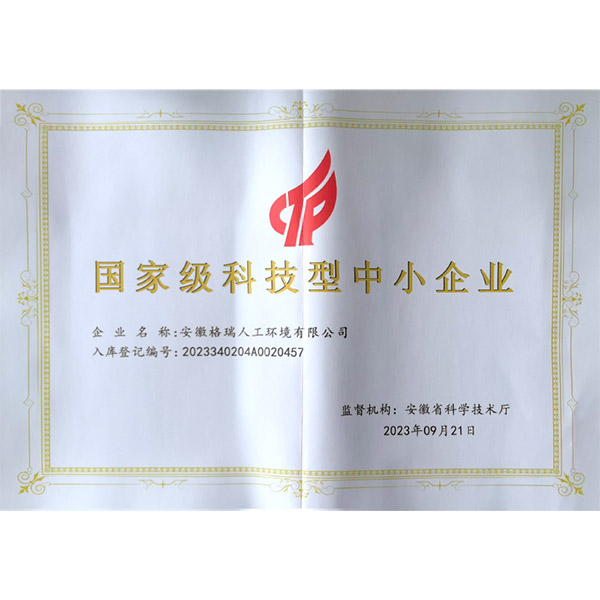 国家级科技型中小企业